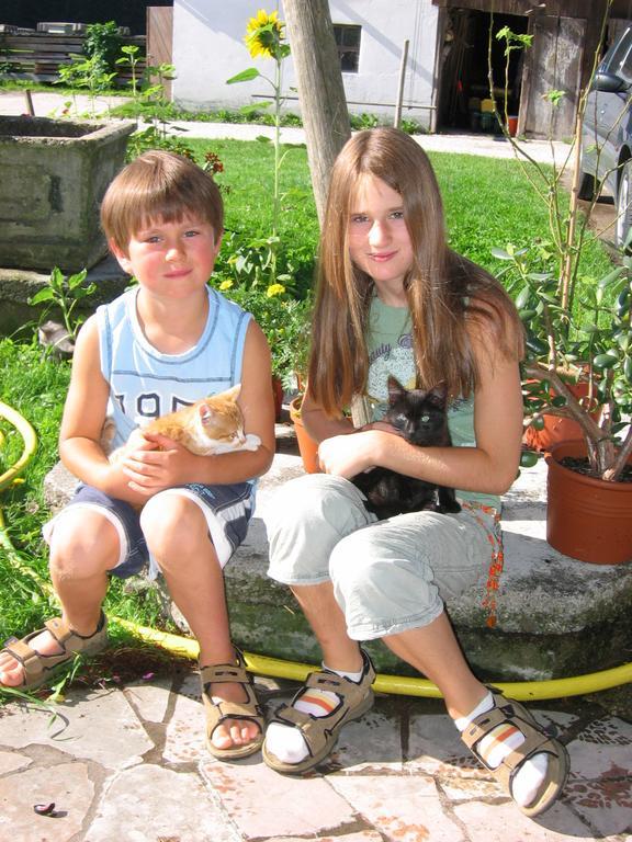סיהם Baby- Und Kinderhof Aicherbauer מראה חיצוני תמונה